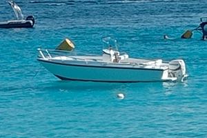 Open Conero 5,60 delfino coral