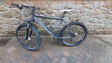 lombardo 500 sestiere