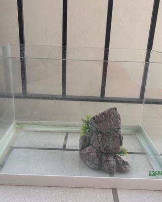 Acquario in vetro Creas Production  e decorazione