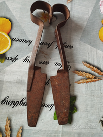 Antica forbice tosatrice per pecore