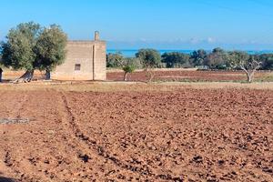 RUSTICO+TERRENO vista mare_a.ffar.e RIBASSO