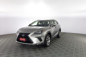 LEXUS NX NX Hybrid Business