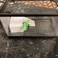 Acquario/tartarughiera