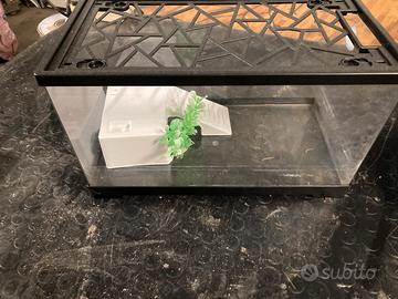 Acquario/tartarughiera