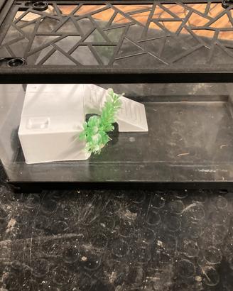 Acquario/tartarughiera