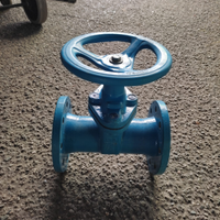 Valvola saracinesca DN 80 Pn 16 Nuova