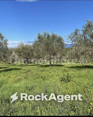 Terreno di 5375 m² a Altavilla Silentina