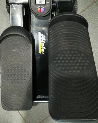 Step atala ginny