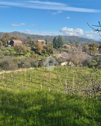 TER. AGRICOLO A PIEDIMONTE ETNEO