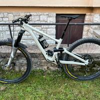 Specialized enduro comp