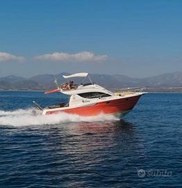 Sessa Dorado 32