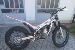 beta evo 290