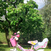 Bicicletta bambina Papillon 12''