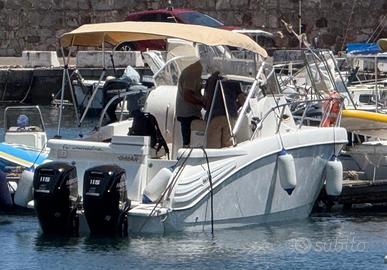 BIMAX 750 WA con 2 MERCURY 115 cv NUOVI