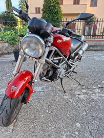Ducati monster