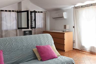 Mansarda con terrazza