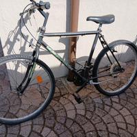 MTB Mountain Challenge Vintage - 26" Acciaio 