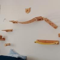 Percorso per gatti