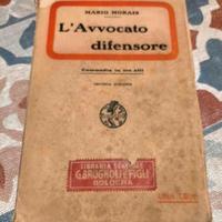 L’Avvocato difensore