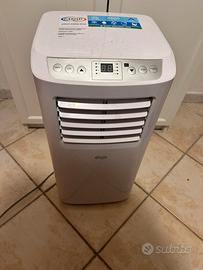 Condizionatore “pinguino “