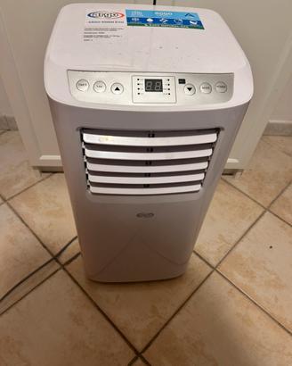 Condizionatore “pinguino “