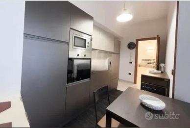 Seriate con due balconi e box