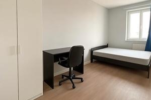 Trilocale paderno dugnano