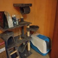 lettiera e tiragraffi