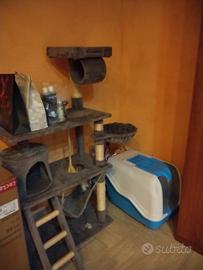 lettiera e tiragraffi