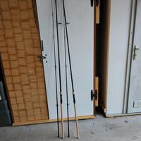 canne carpfishing 