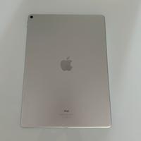 Ipad Pro 256 GB