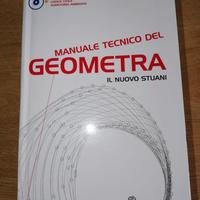 Manuale Tecnico del Geometra con CD