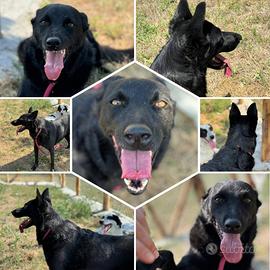 Sorrisa femmina 7 anni taglia media