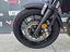 Immagine 7