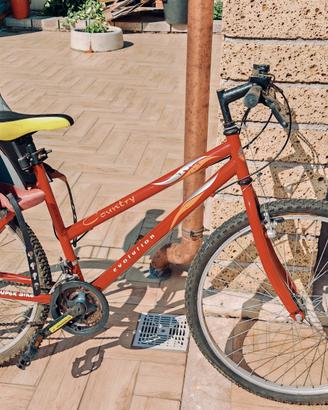 mtb vintage donna 