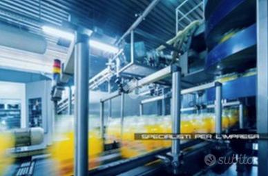 CAPANNONE A PORTICO DI CASERTA