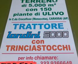 Terreno con Uliveto a Carassai (AP)