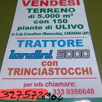 Terreno con Uliveto a Carassai (AP)