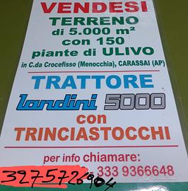 Terreno con Uliveto a Carassai (AP)