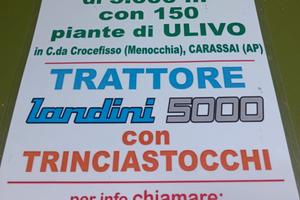 Terreno con Uliveto a Carassai (AP)