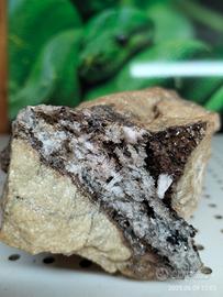 Minerale Brosso 1193 gr 10x7 h13