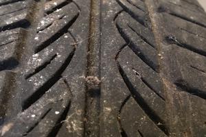 Pneumatico estivo 155/70 R13 Marangoni