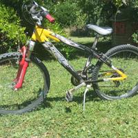 mountain bike da ragazzo