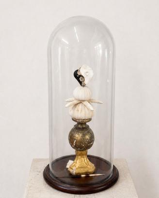 Campana in vetro con composizione di conchiglie