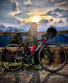 Wilier Triestina cento1 SR