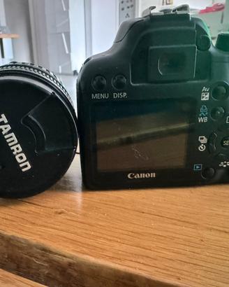 Camon 1000d + obiettivo TAMRON 18-200