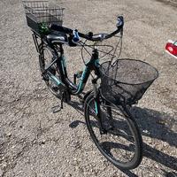 Bicicletta con pedaleta assistita