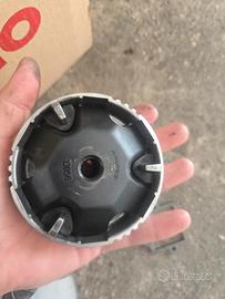 variatore 101 malossi a grasso