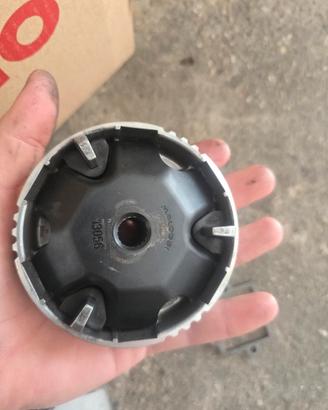 variatore 101 malossi a grasso