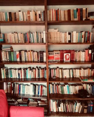 Libreria in noce